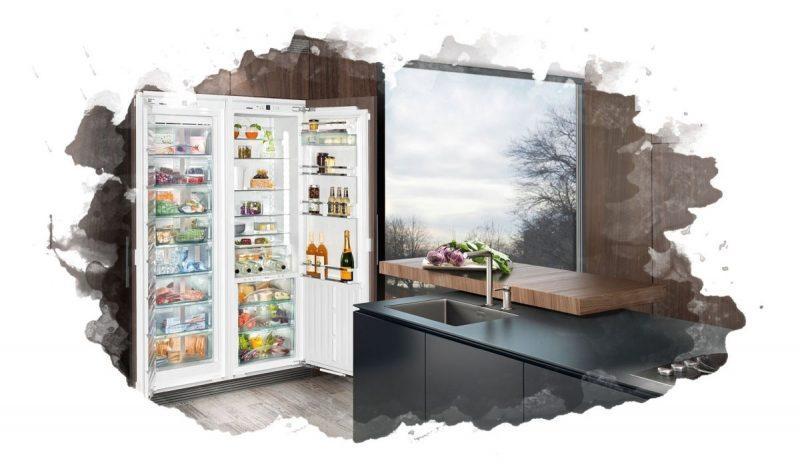 ТОП-7 лучших встраиваемых холодильников: рейтинг, отзывы
