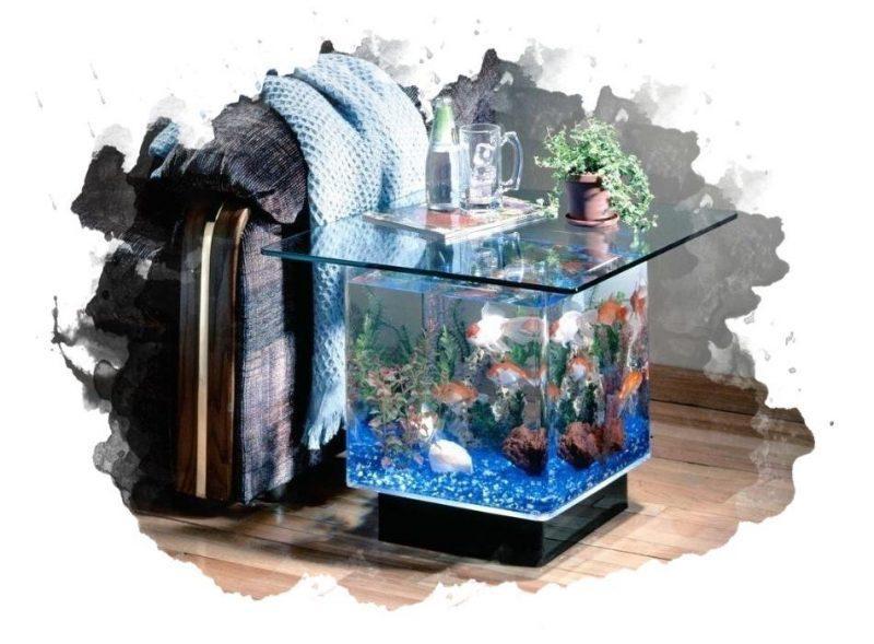 ТОП-7 лучших аквариумов для дома: рейтинг, отзывы