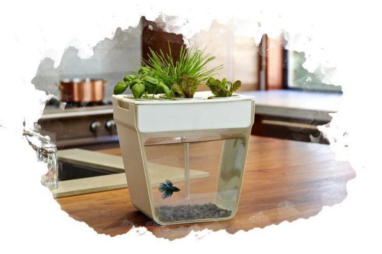 ТОП-7 лучших аквариумов для дома: какой купить, плюсы и минусы, отзывы