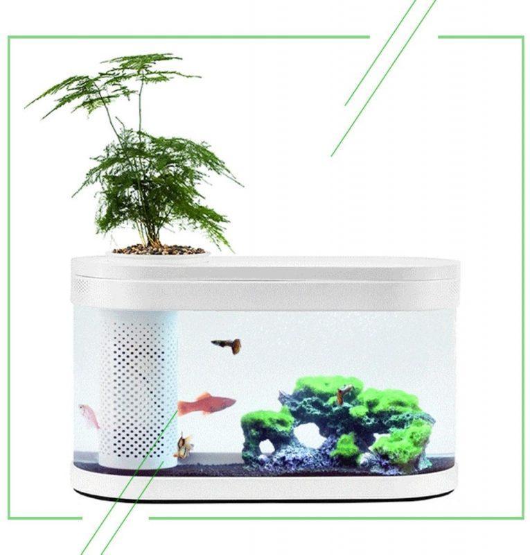 Xiaomi Eco Fish Tank_result