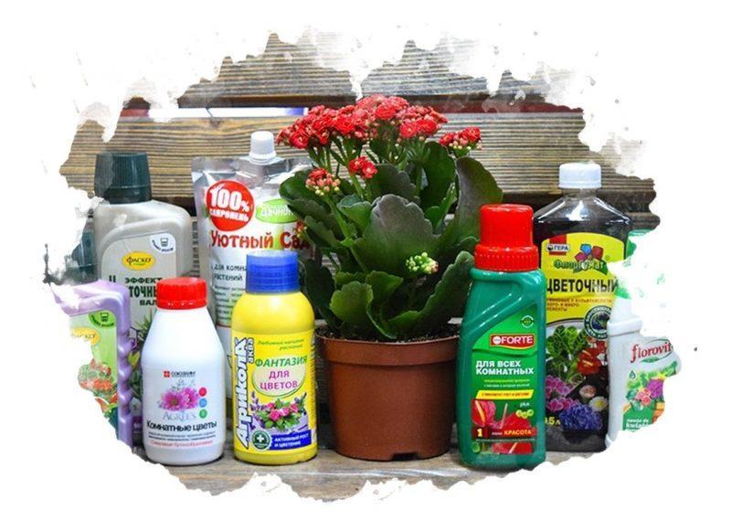 ТОП-8 лучших удобрений для растений: минеральные, органические, универсальные, отзывы