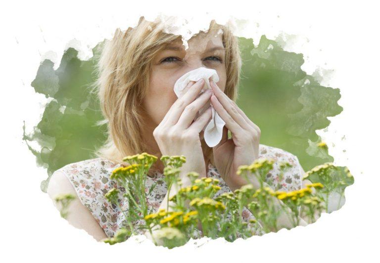 ТОП-7 лучших средств от аллергии: рейтинг, отзывы