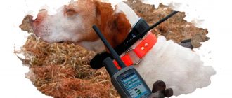 GPS ошейник для животных