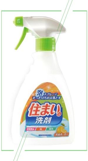 Nihon Detergent_result