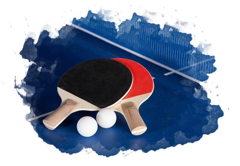ТОП-7 лучших ракеток для настольного тенниса: виды, советы по выбору, отзывы