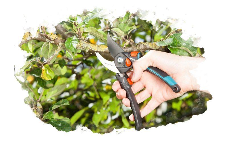 ТОП-7 лучших садовых ножниц для стрижки травы: как выбрать, характеристики, отзывы