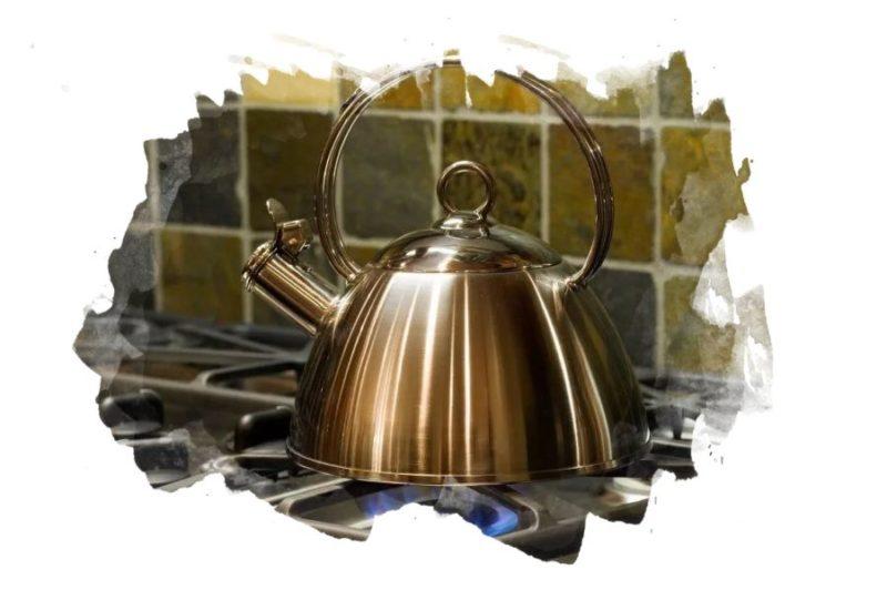 ТОП-7 лучших чайников для газовой плиты: какой купить, отзывы