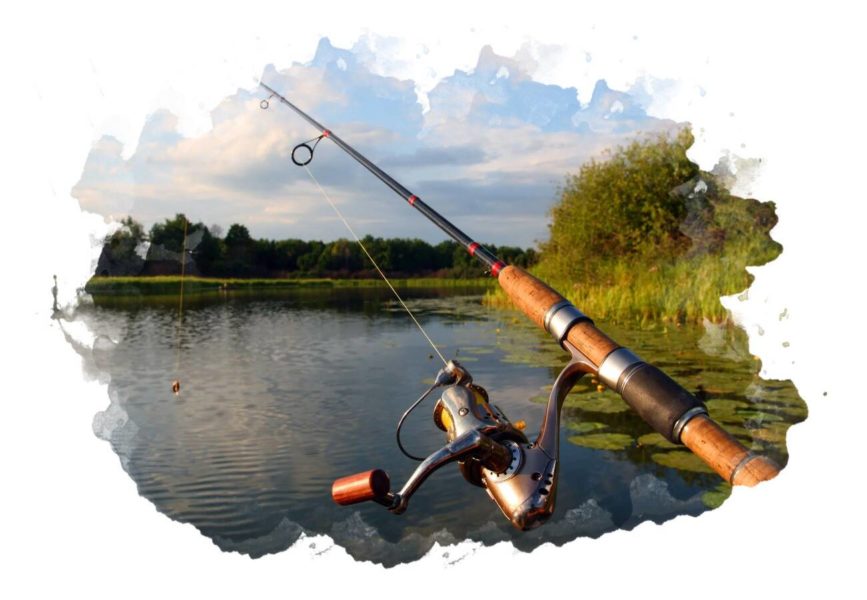 ТОП-12 лучших спиннингов для ловли рыбы: характеристики, плюсы и минусы